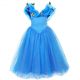 Blue Cinderella Fancy Girl Cosplay Dress