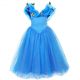 Blue Cinderella Fancy Girl Cosplay Dress