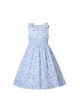 Light Blue Summer Printed Smocked Dress