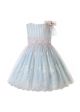 Light Blue Lace Flower Tulle Dress