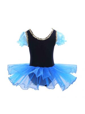 Blue Floral Elsa Anna Tutu Cosplay Dress TD40722-1