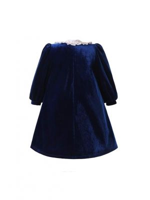 Navy Blue Velvet Vintage A-line Long Sleeves Dress